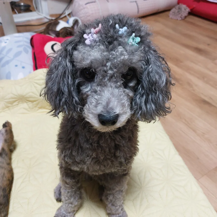 샤론쌤