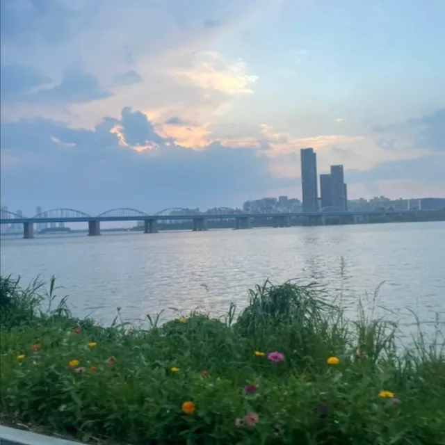 올웨이즈