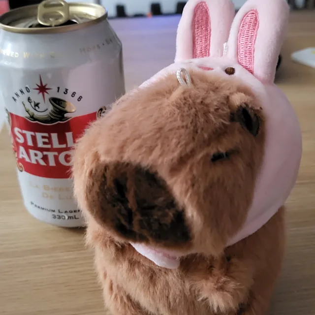 토끼바라