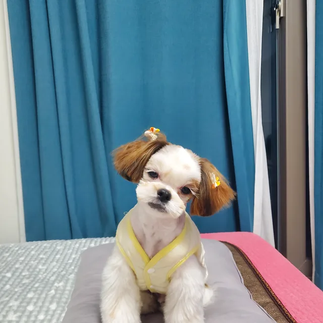 다다62여역북동
