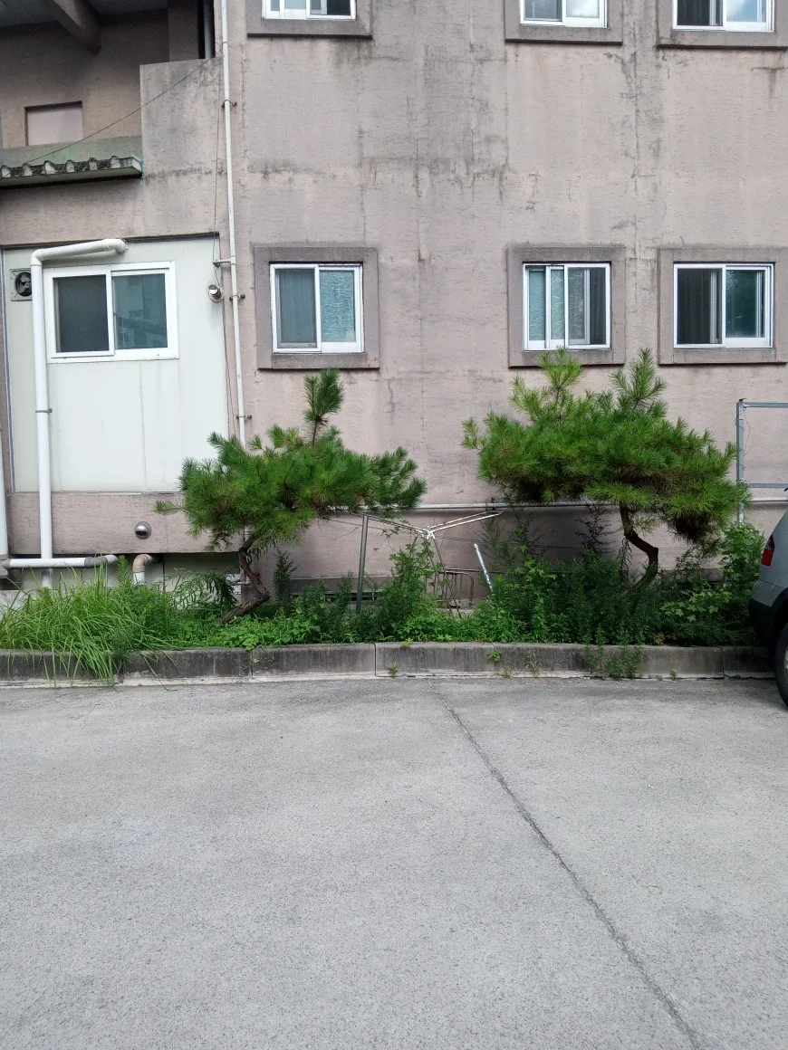 메이지