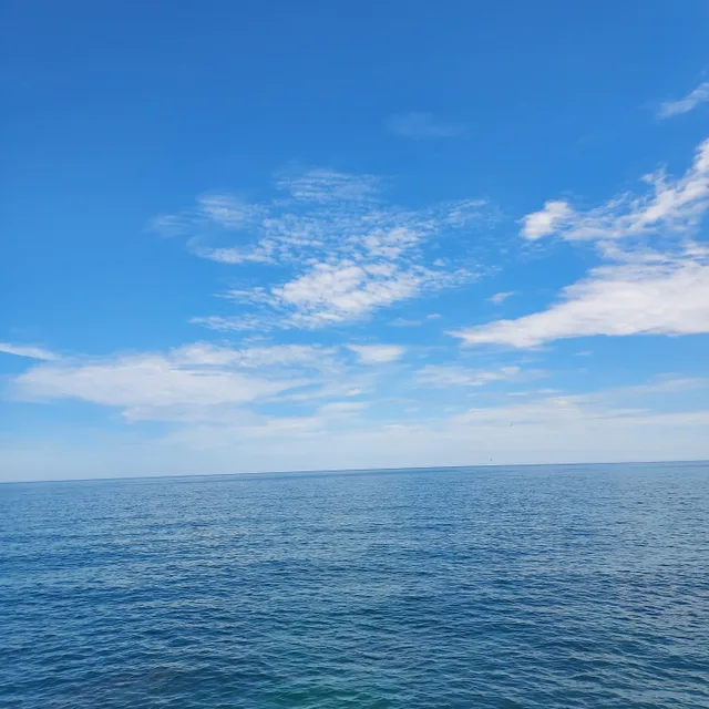 행복