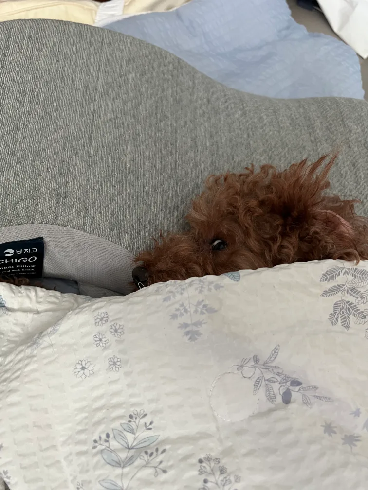 광대놀음
