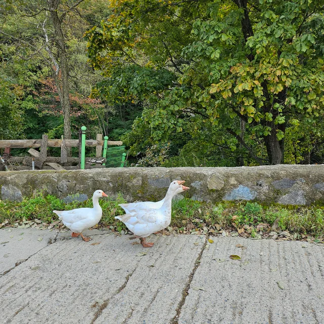 좋은날