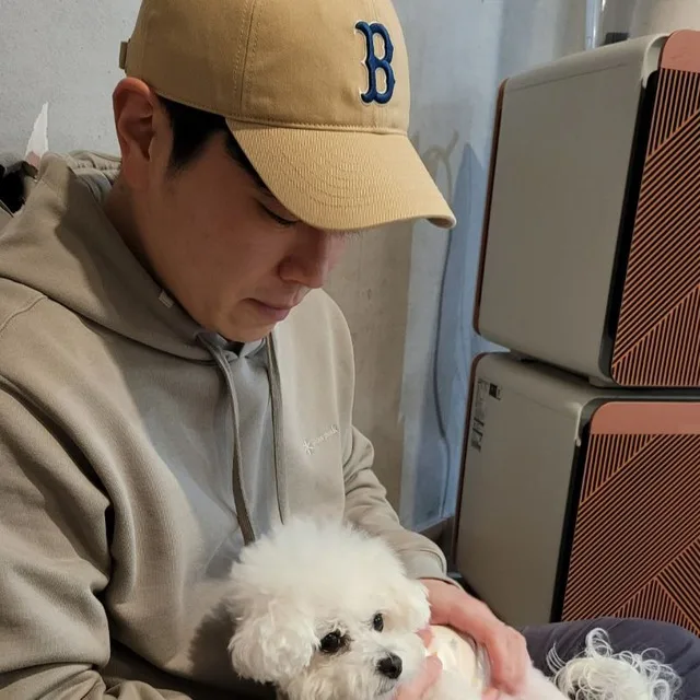 멧데지먼