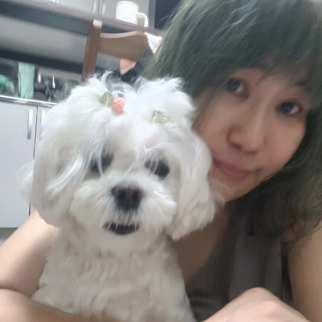 꼬미엄마