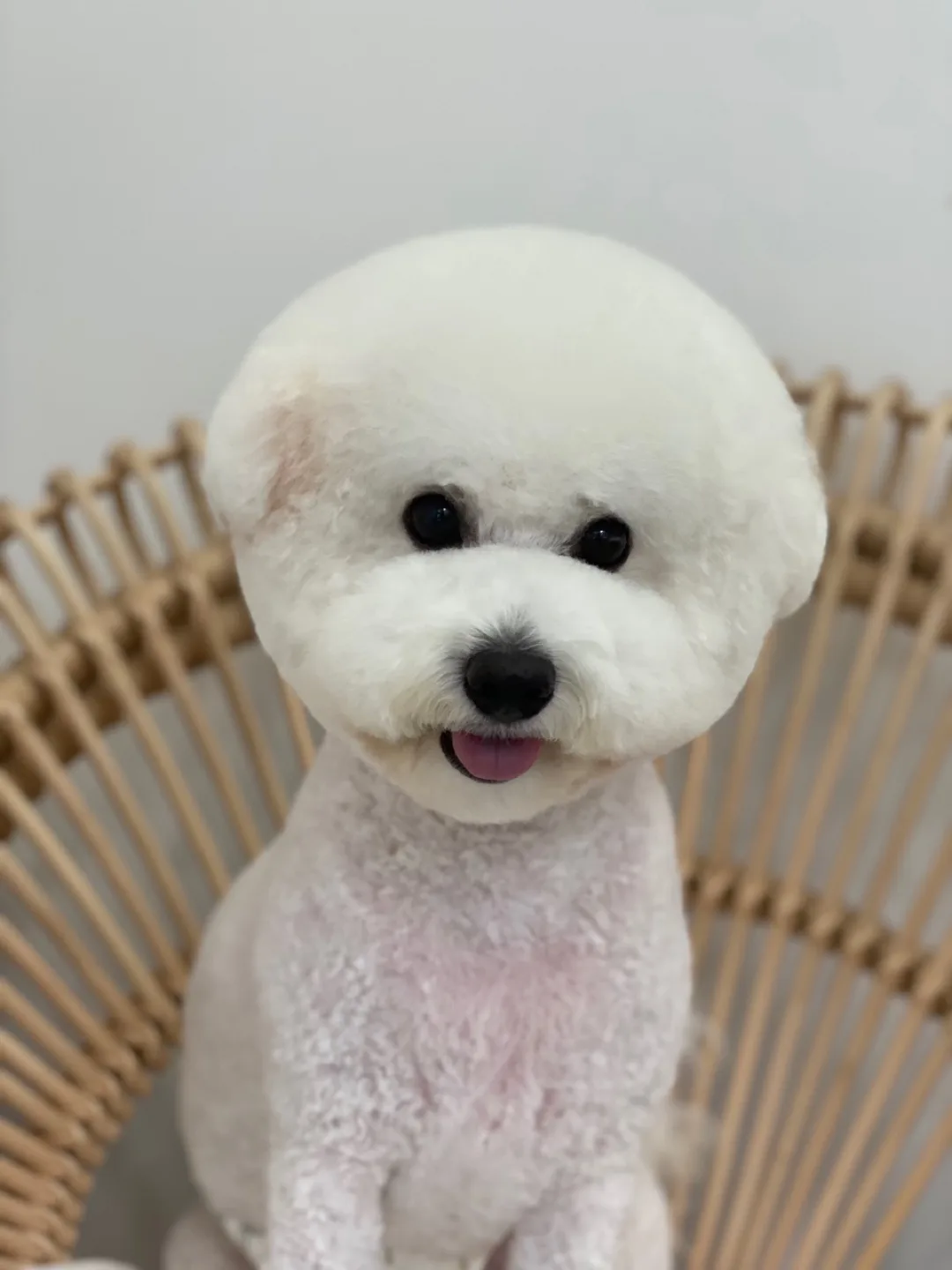 단지