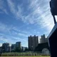 랑이