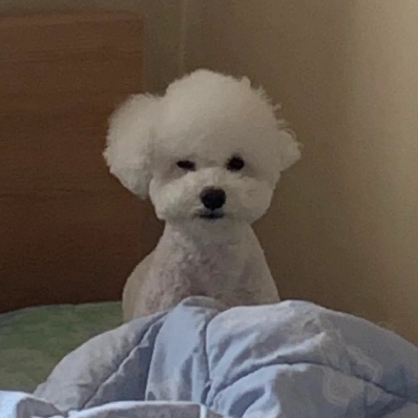 친정간금자씨