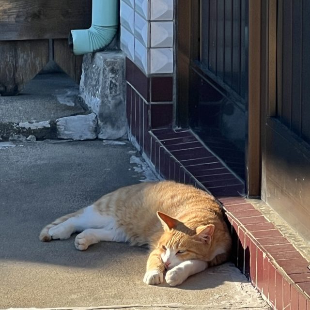 집에보내줘 프로필 이미지