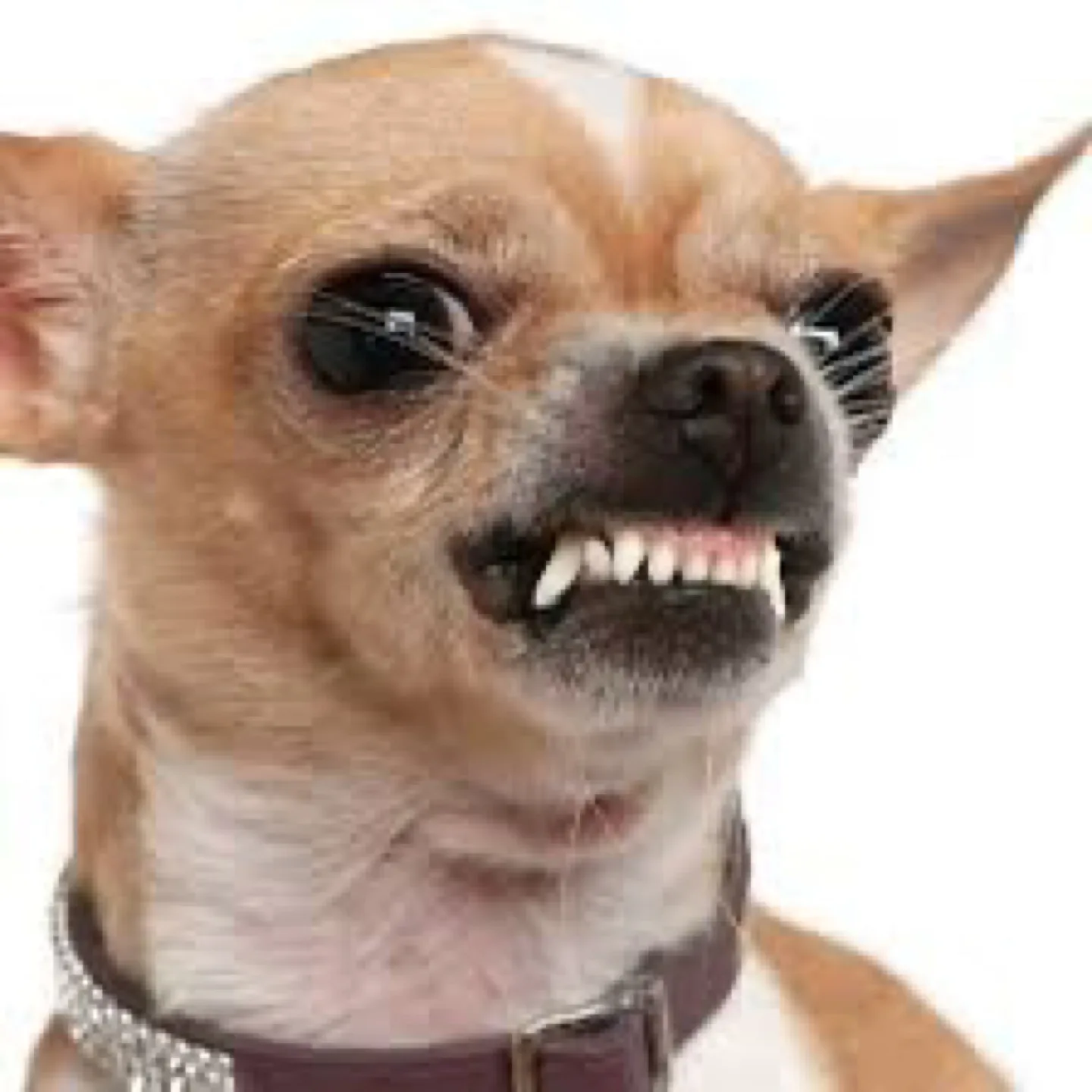 희재