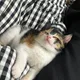 뮹치