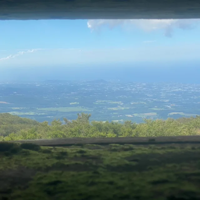 쪼꼬우유