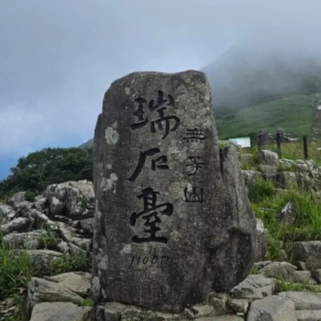 당근사장님