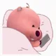 포카리스웨트