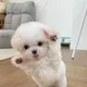 구름