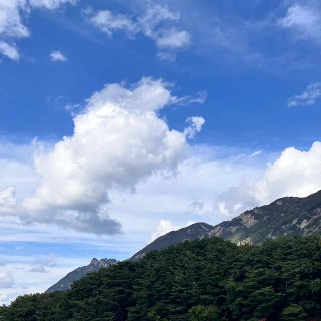 아이띵쏘