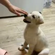 세상이아빠