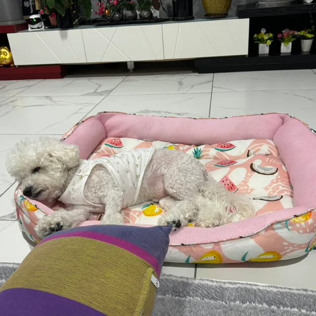 춘봉씨
