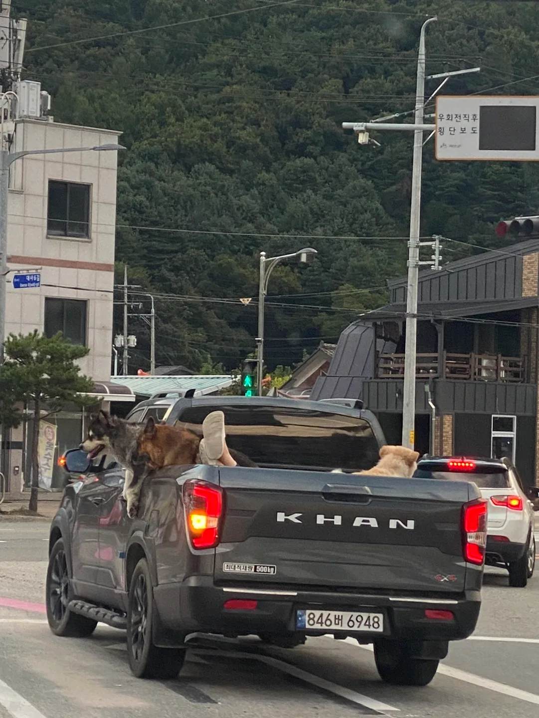 짜요짜요