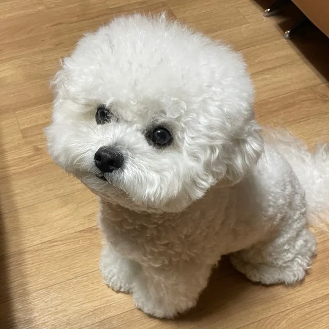 오케이