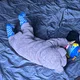 총총이
