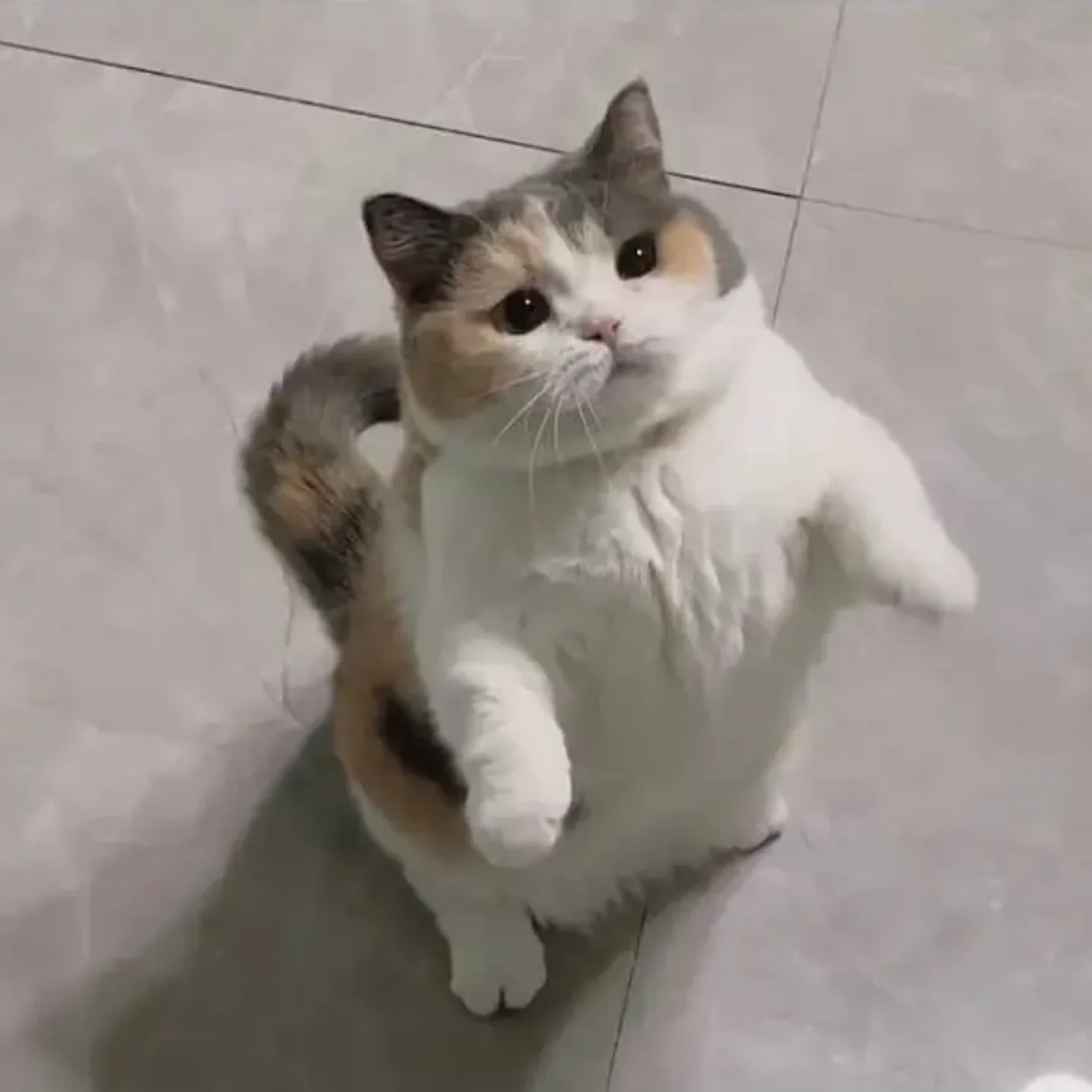 솜미