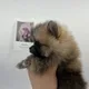 공백