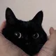 치즈