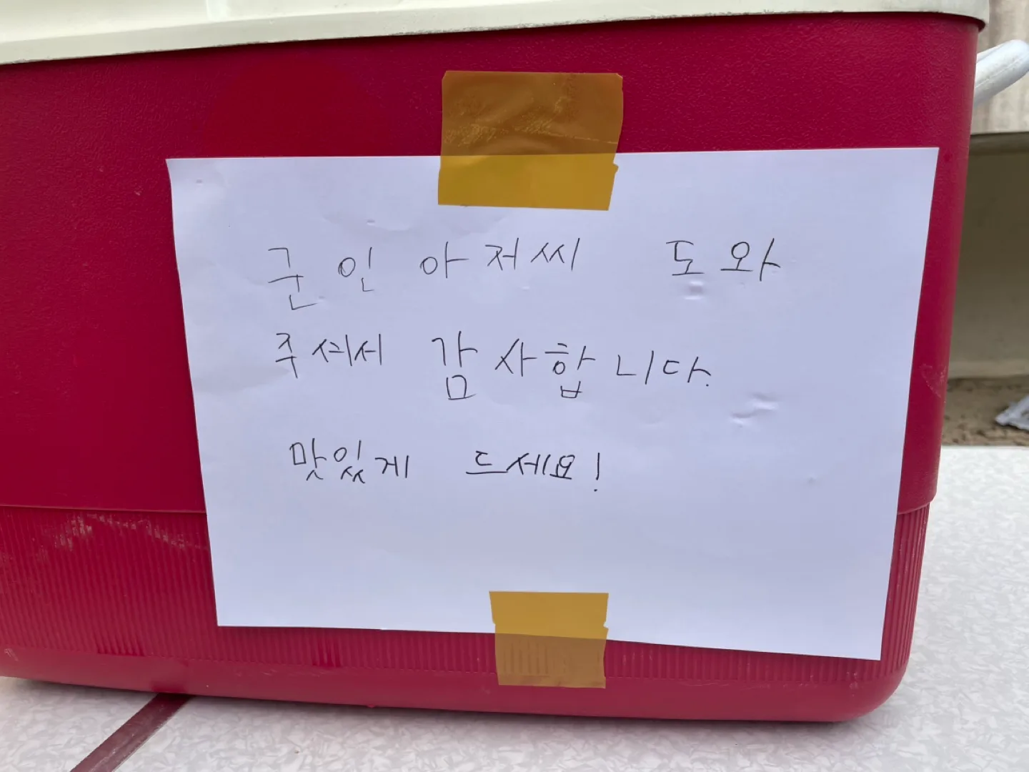 카테터