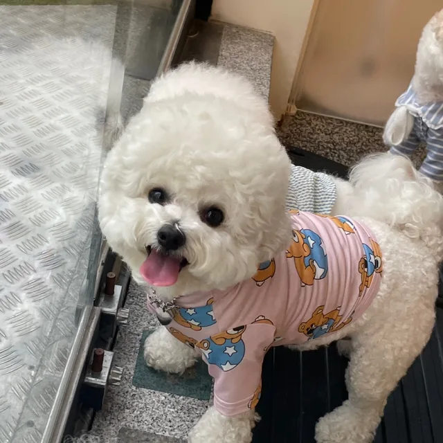 예예