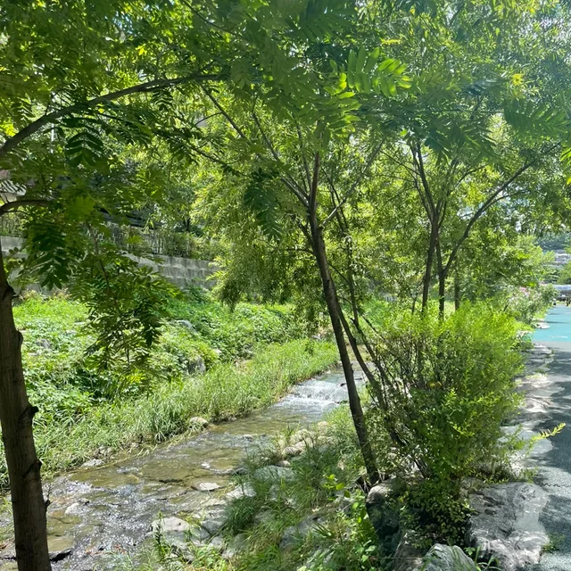 포레스트
