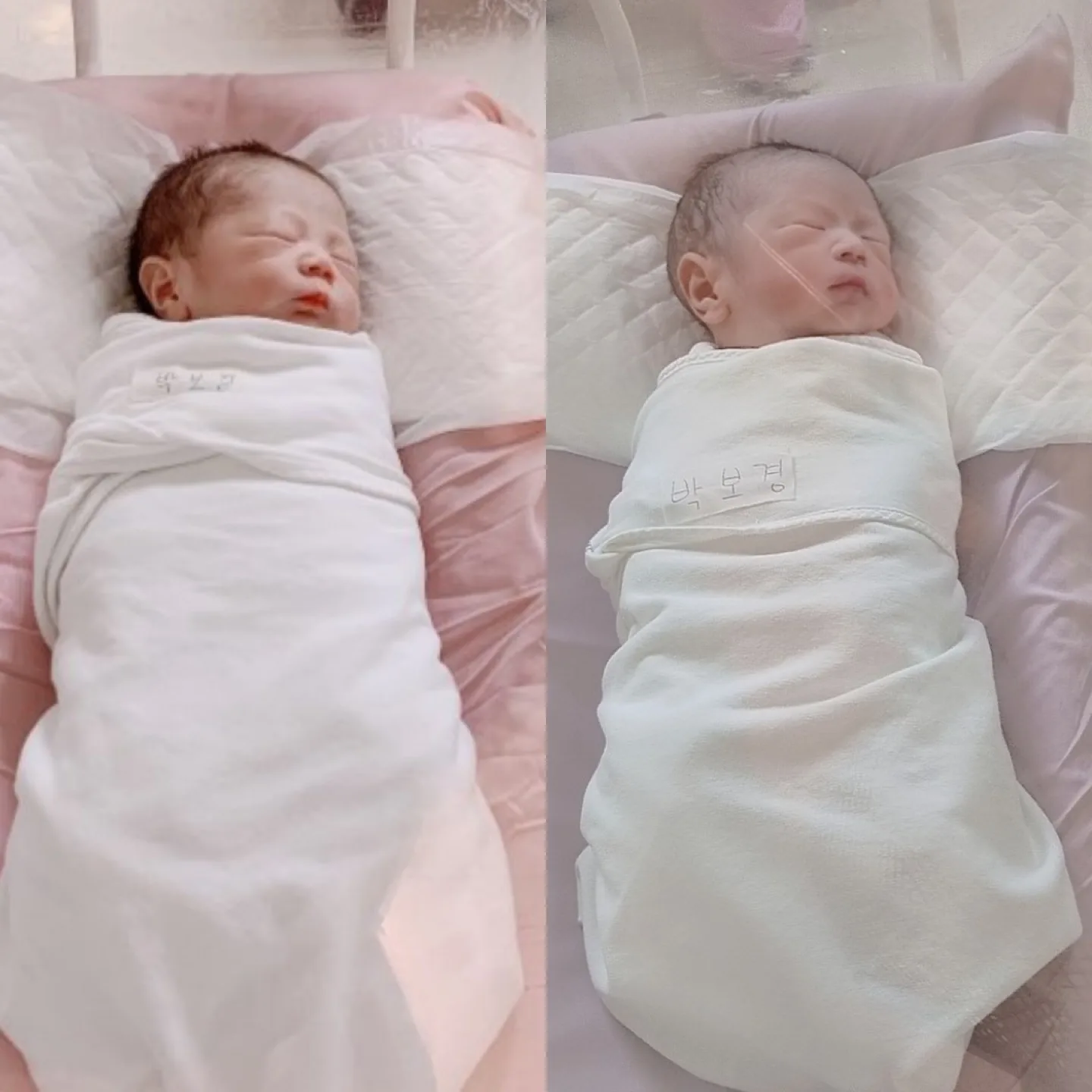 맘둥이