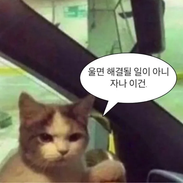 다잇소