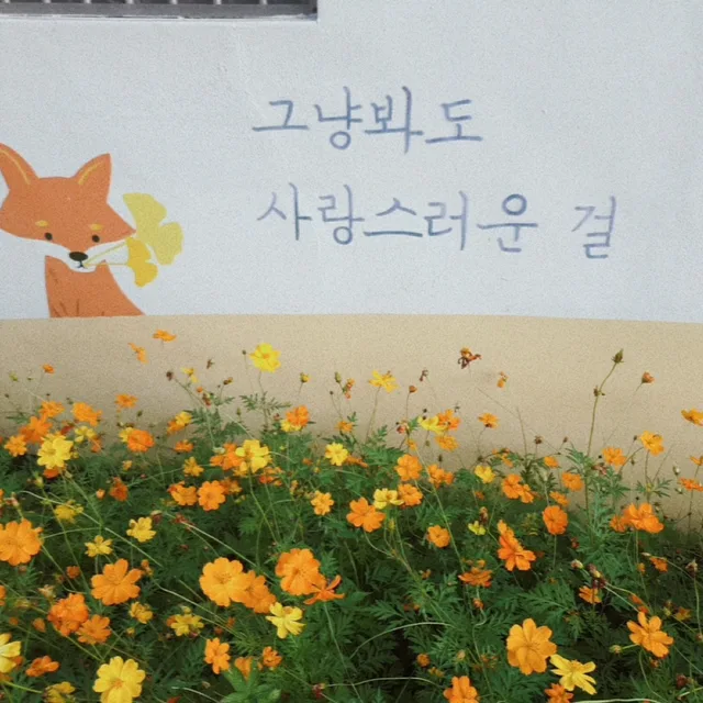 보라보랏