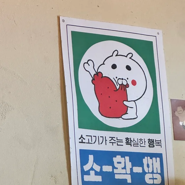 아니오쿨