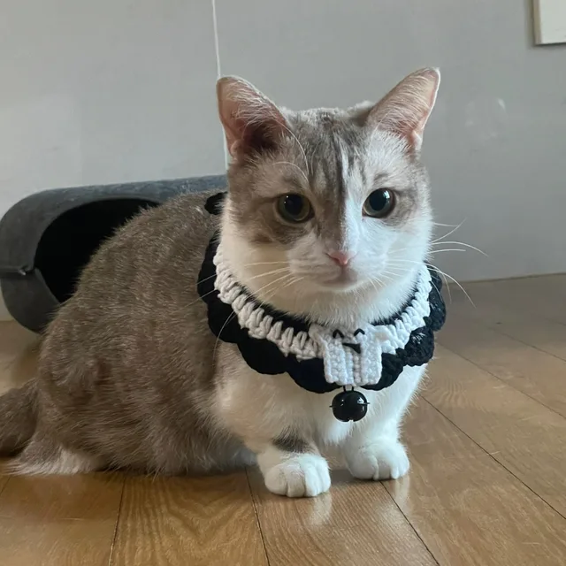 루이