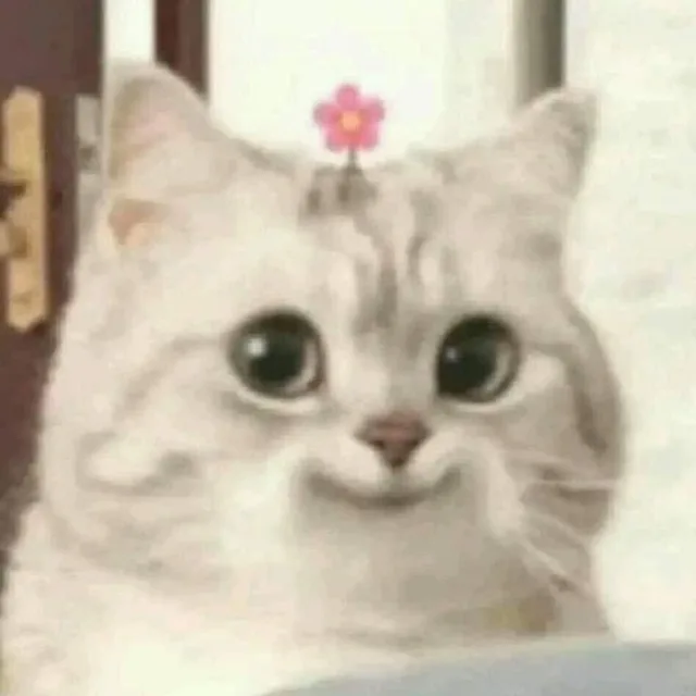 소라계