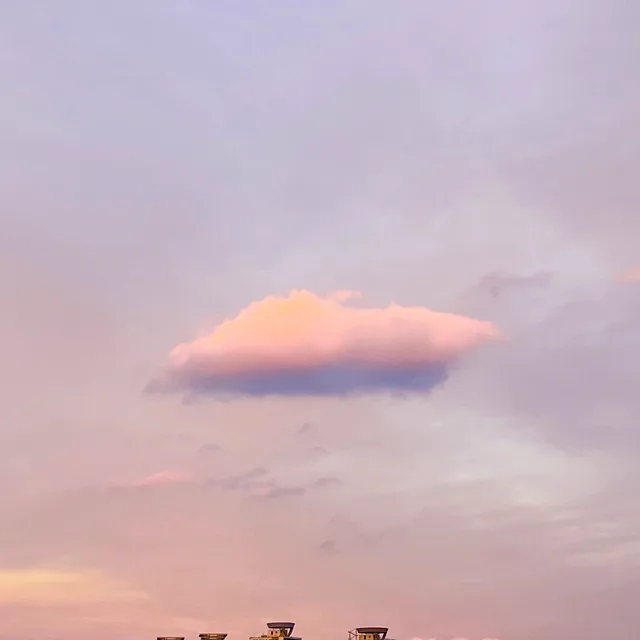 다미네