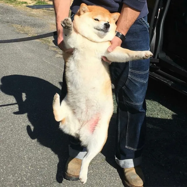아어아아