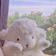 꿈나라양