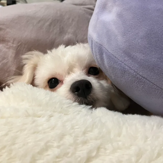 안녕난김휴지