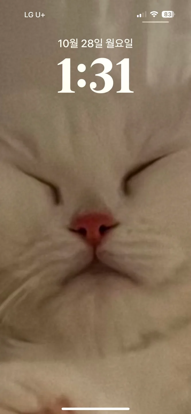 띵가띵가