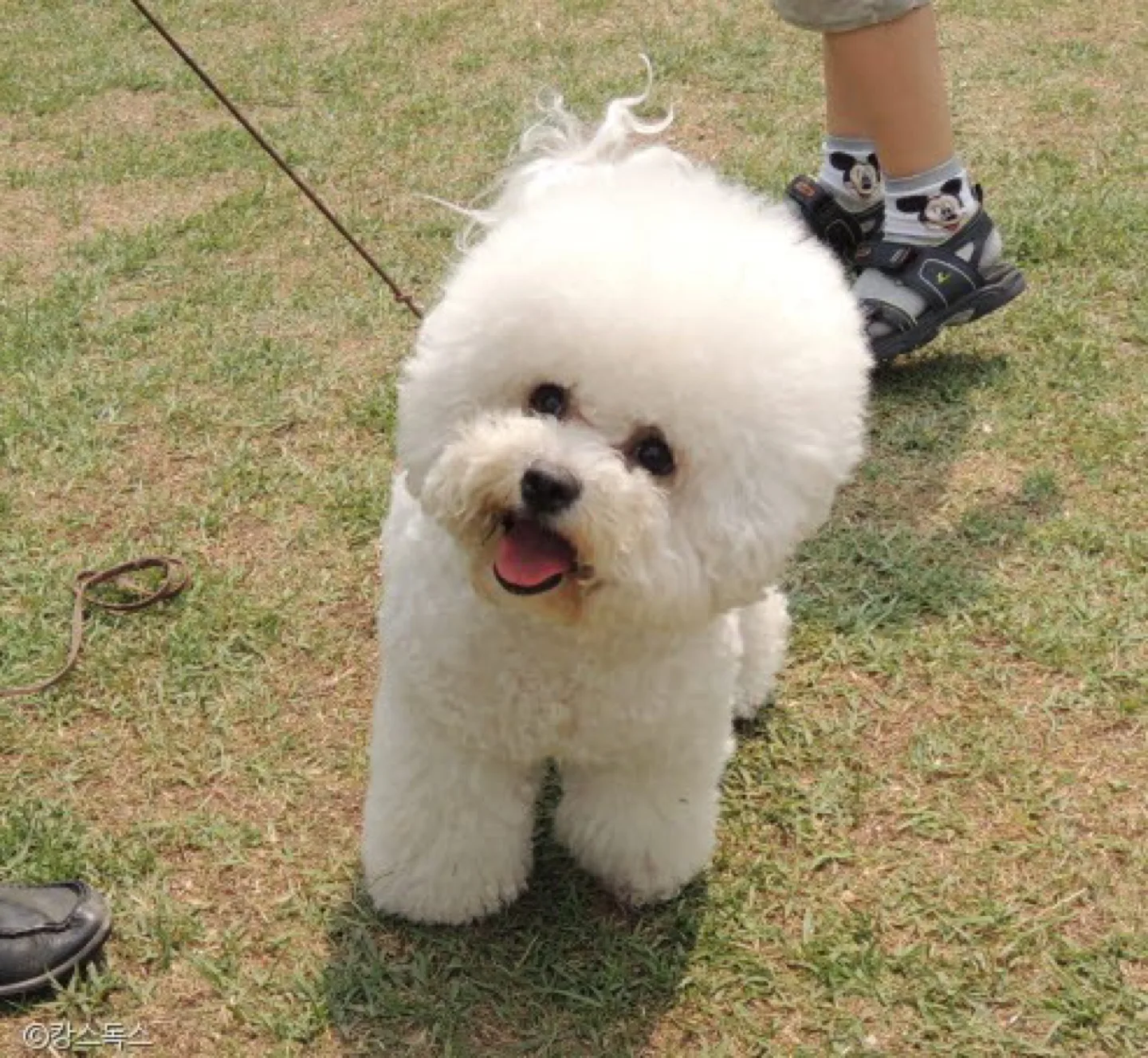 쿨대화쿨거래