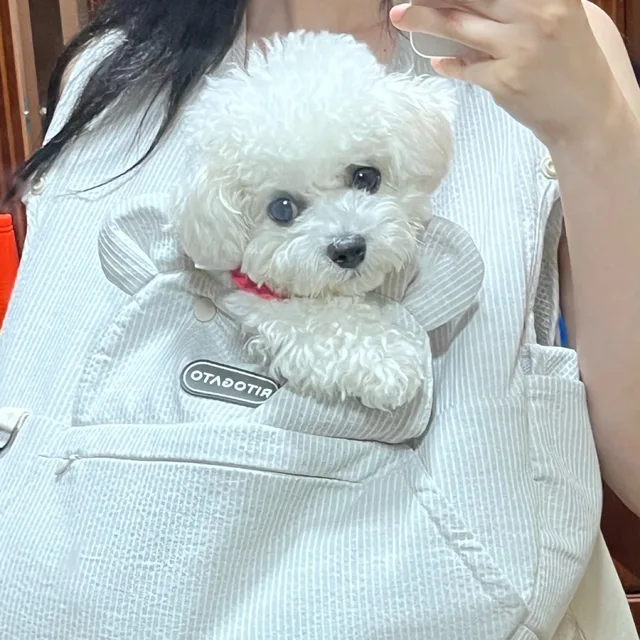 임리코