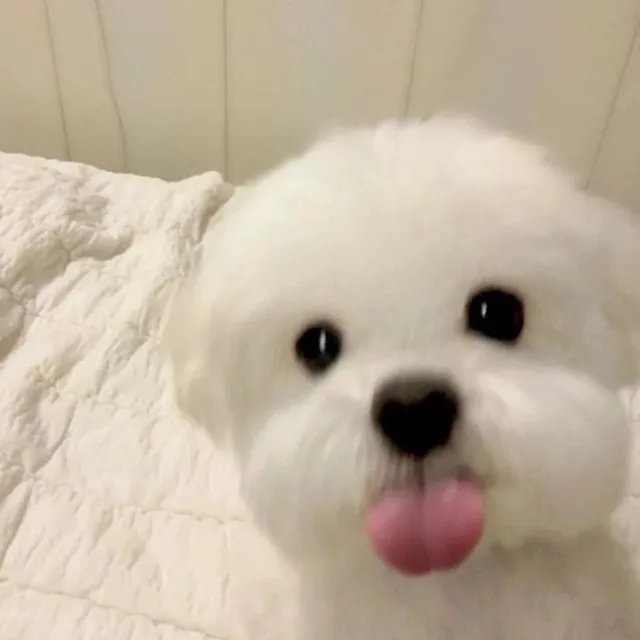 음하하하
