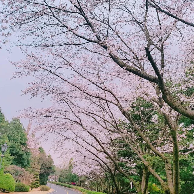 미니멀라이프