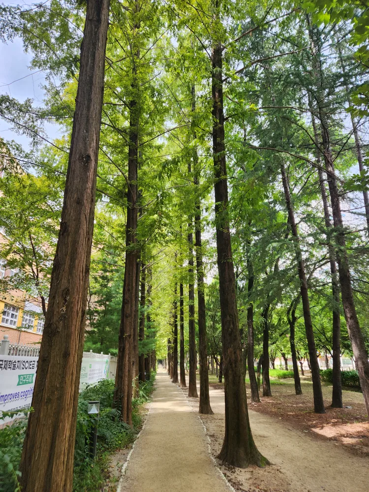 소망