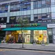 콩나물