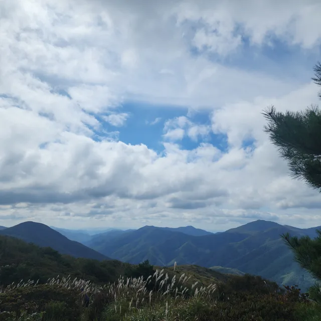 이브